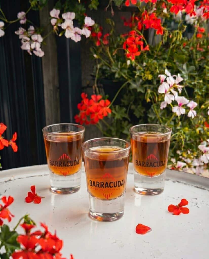 Shots